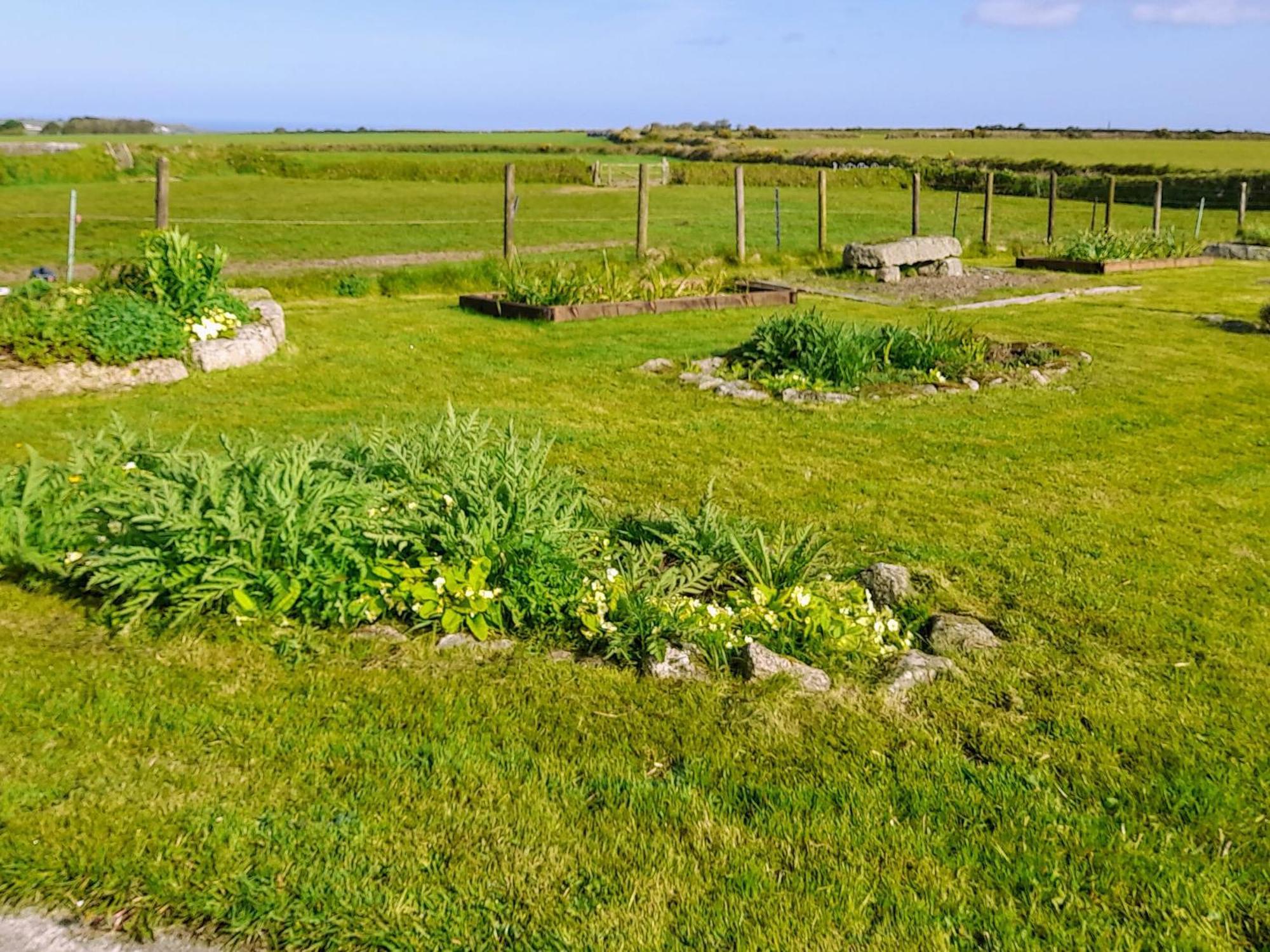 Ash Tree Cottage Carnbrea Bagian luar foto